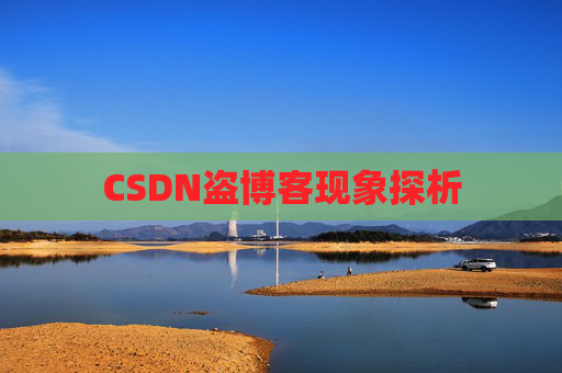 CSDN盗博客现象探析 CSDN盗博客现象探析